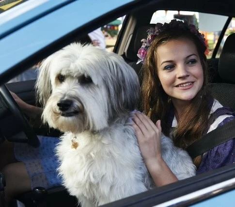 Патси 2014 скачать торрентом Патси 2014 скачать торрентом