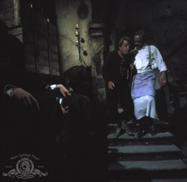 Убийства на улице Морг 1971 скачать с торрента Убийства на улице Морг 1971 скачать с торрента