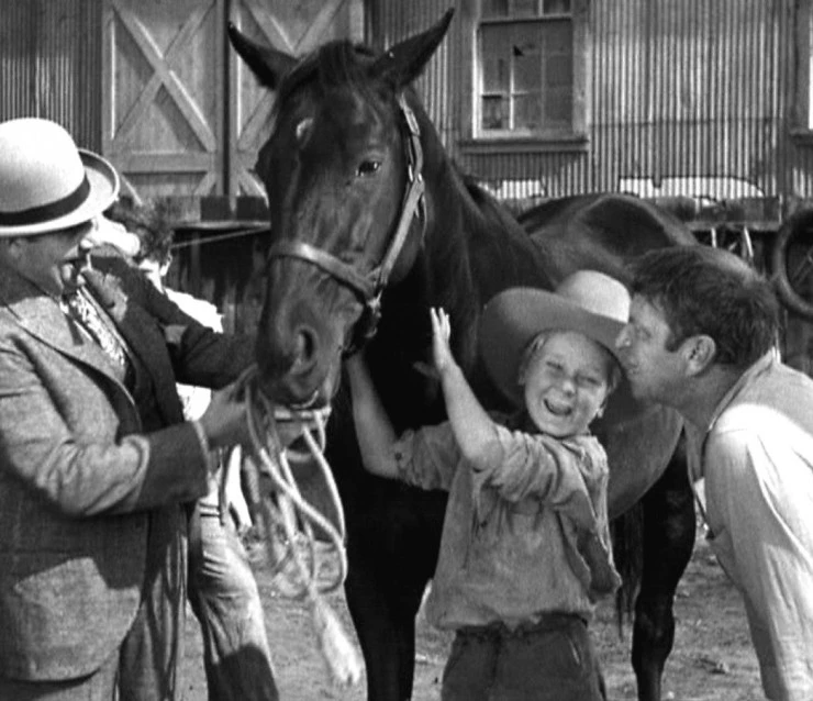 Чемпион 1931 скачать через торрент бесплатно Чемпион 1931 скачать через торрент бесплатно