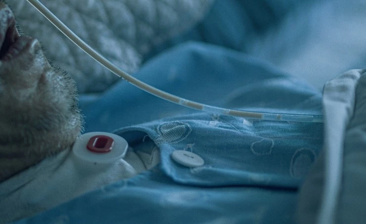 Тактика выживания 2024 скачать через торрент бесплатно Тактика выживания 2024 скачать через торрент бесплатно