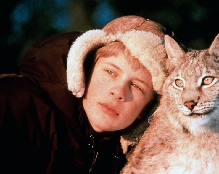 Томми и Кыся 1998 скачать через торрент бесплатно Томми и Кыся 1998 скачать через торрент бесплатно