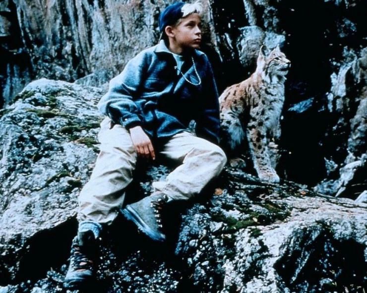 Томми и Кыся 1998 скачать торрентом Томми и Кыся 1998 скачать торрентом