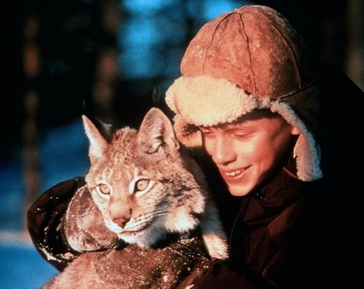 Томми и Кыся 1998 скачать с торрента Томми и Кыся 1998 скачать с торрента