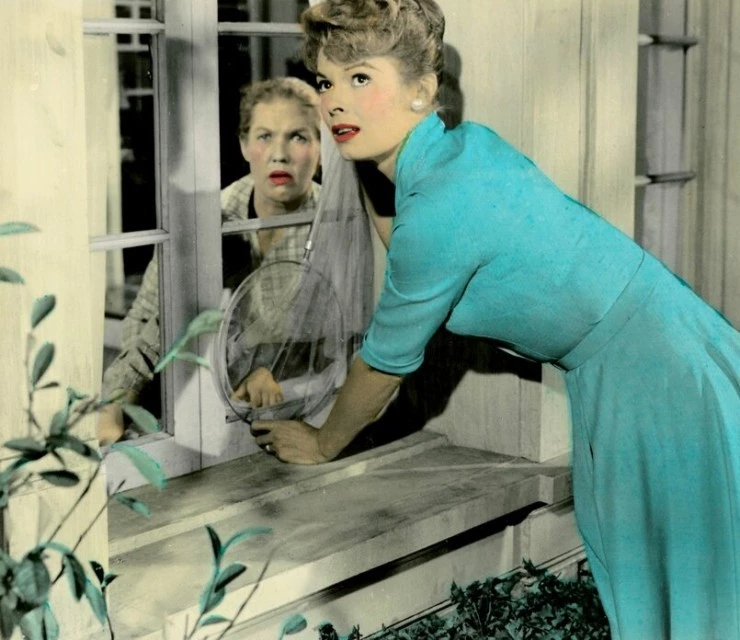 Муха 1958 скачать с торрента Муха 1958 скачать с торрента