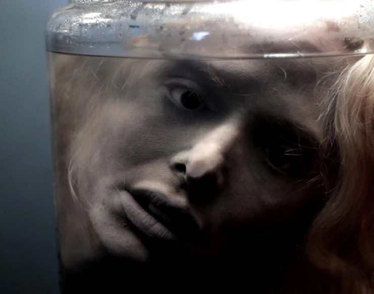 Дрожь 2012 скачать через торрент бесплатно Дрожь 2012 скачать через торрент бесплатно