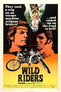 Дикие мятежники / Wild Riders 1971 скачать через торрент в хорошем качестве