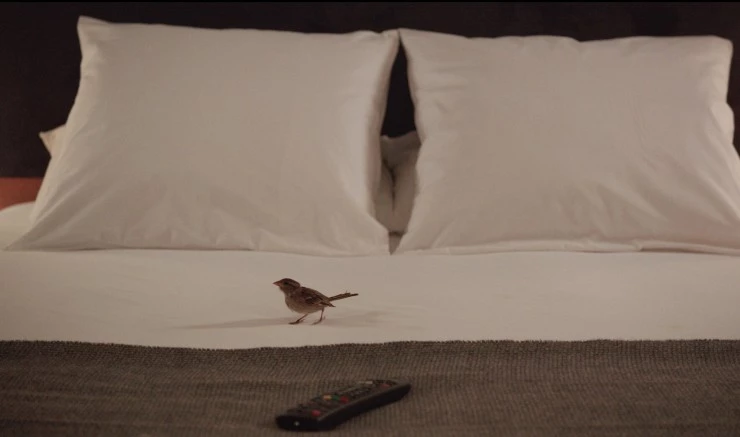 Люди и птицы 2014 скачать торрентом Люди и птицы 2014 скачать торрентом