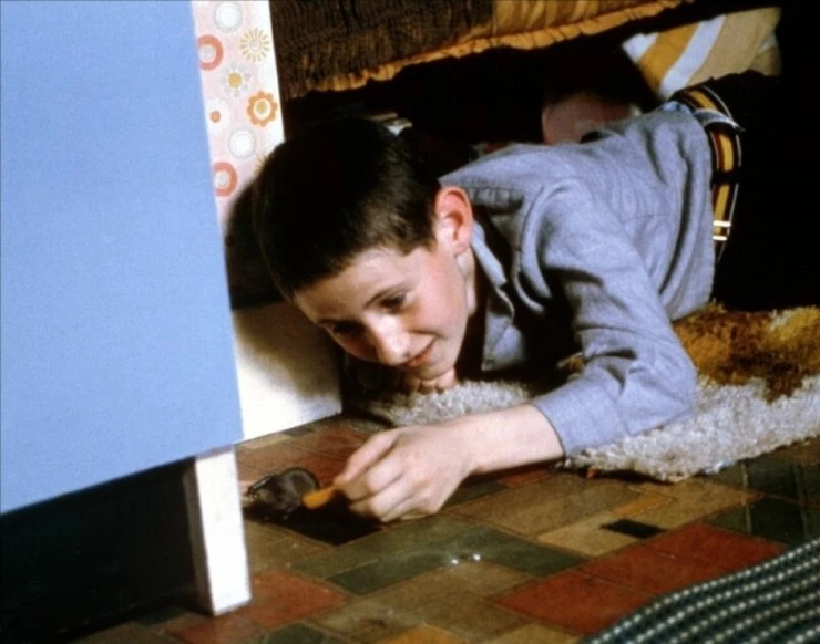 Крысолов 1999 скачать с торрента Крысолов 1999 скачать с торрента