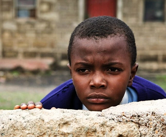 Первопроходец 2010 скачать торрентом Первопроходец 2010 скачать торрентом