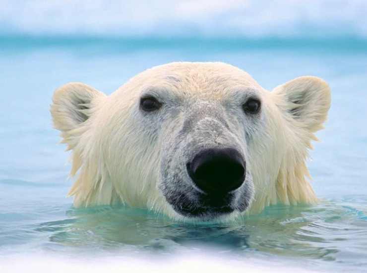 Картины в его жизни 2019 скачать торрентом Картины в его жизни 2019 скачать торрентом