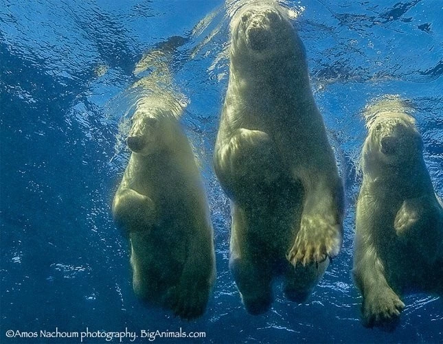Картины в его жизни 2019 скачать с торрента Картины в его жизни 2019 скачать с торрента