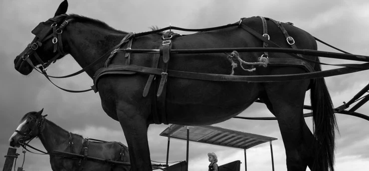 Саламанка 2015 скачать с торрента Саламанка 2015 скачать с торрента