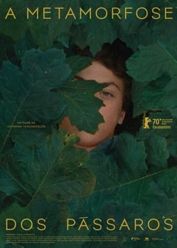 A Metamorfose dos Pássaros 2020 скачать через торрент в хорошем качестве