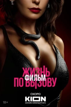 Жизнь по вызову. Фильм скачать через торрент в хорошем качестве