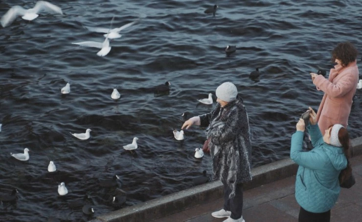 Навстречу свету 2022 скачать с торрента Навстречу свету 2022 скачать с торрента