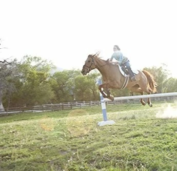 Штормовой наездник 2013 скачать торрентом Штормовой наездник 2013 скачать торрентом