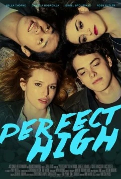 Идеальный кайф / Perfect High 2015 скачать через торрент в хорошем качестве