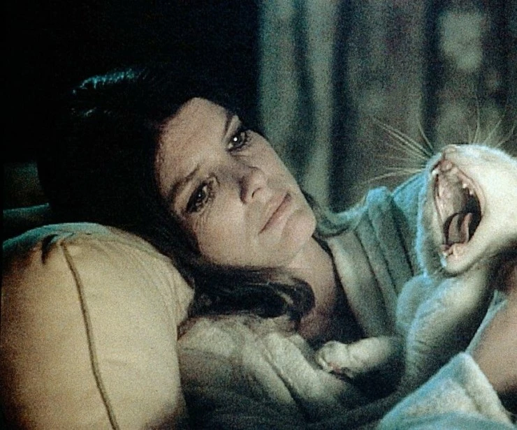 Наследие 1978 скачать через торрент бесплатно Наследие 1978 скачать через торрент бесплатно