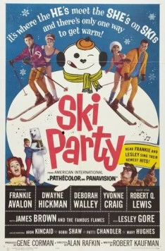 Веселье на лыжах / Ski Party 1965 скачать через торрент в хорошем качестве