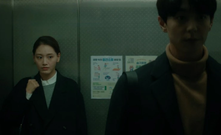 Цветы плесени 2023 скачать с торрента Цветы плесени 2023 скачать с торрента