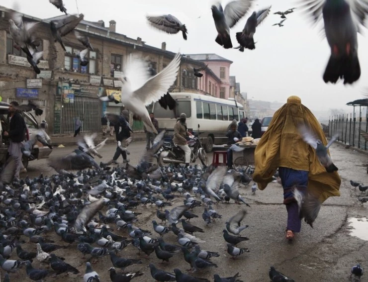 Камень терпения 2012 скачать через торрент бесплатно Камень терпения 2012 скачать через торрент бесплатно