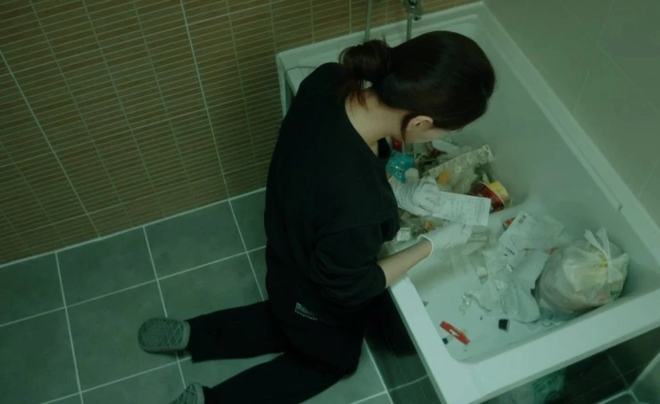 Цветы плесени 2023 скачать торрентом Цветы плесени 2023 скачать торрентом