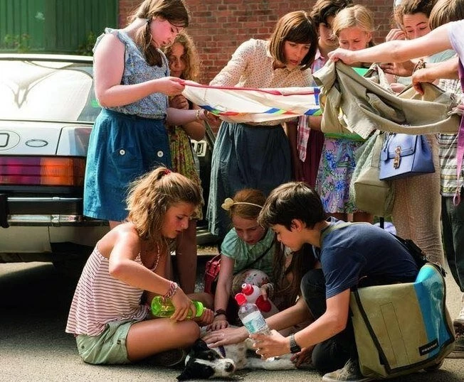 Конни и компания 2016 скачать с торрента Конни и компания 2016 скачать с торрента