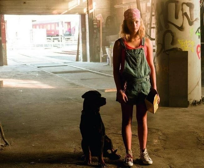 Конни и компания 2016 скачать через торрент бесплатно Конни и компания 2016 скачать через торрент бесплатно