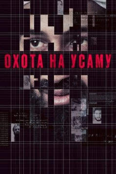 Охота на Усаму / Manhunt: The Inside Story of the Hunt for Bin Laden 2013 скачать через торрент в хорошем качестве