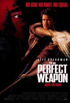 Совершенное оружие / The Perfect Weapon 1991 скачать через торрент в хорошем качестве