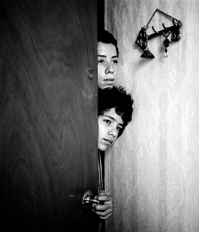 Утиная охота 2004 скачать с торрента Утиная охота 2004 скачать с торрента