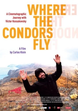 Там, где летают кондоры / Where the Condors Fly 2012 скачать через торрент в хорошем качестве