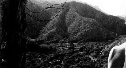 Япония 2001 скачать торрентом Япония 2001 скачать торрентом