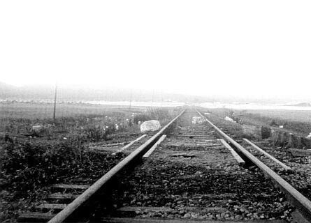 Япония 2001 скачать через торрент бесплатно Япония 2001 скачать через торрент бесплатно