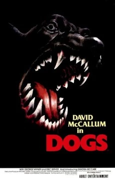 Псы / Dogs 1976 скачать через торрент в хорошем качестве