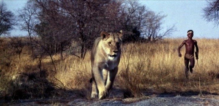 Львенок 1993 скачать торрентом Львенок 1993 скачать торрентом