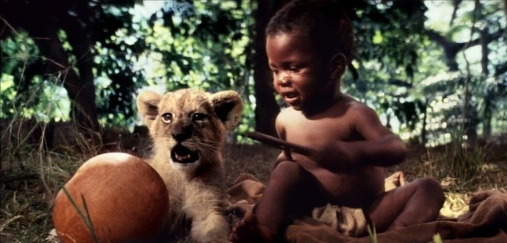 Львенок 1993 скачать с торрента Львенок 1993 скачать с торрента