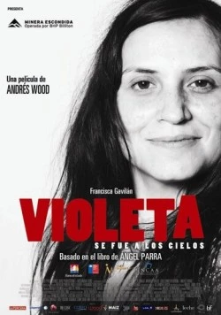 Виолета отправилась на небеса / Violeta se fue a los cielos 2011 скачать через торрент в хорошем качестве