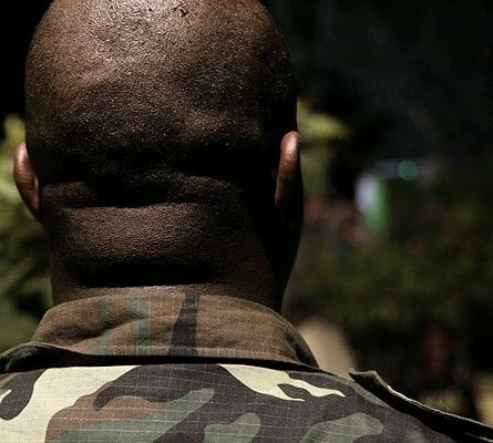 Сухой сезон 2006 скачать с торрента Сухой сезон 2006 скачать с торрента