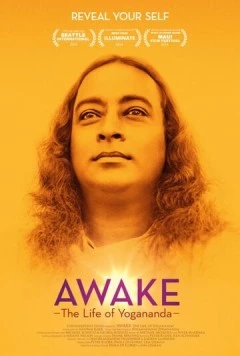 Осознание: Жизнь Йогананды / Awake: The Life of Yogananda 2014 скачать через торрент в хорошем качестве