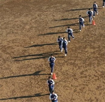 Синяя птица 2008 скачать с торрента Синяя птица 2008 скачать с торрента