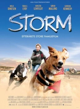 Шторм / Storm 2009 скачать через торрент в хорошем качестве