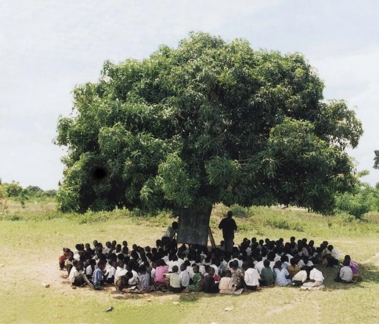 Африка в алфавитном порядке 2001 скачать торрентом Африка в алфавитном порядке 2001 скачать торрентом