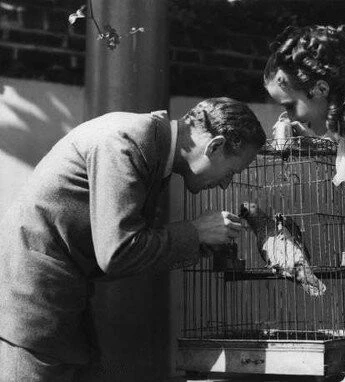 Алый первоцвет 1934 скачать с торрента Алый первоцвет 1934 скачать с торрента