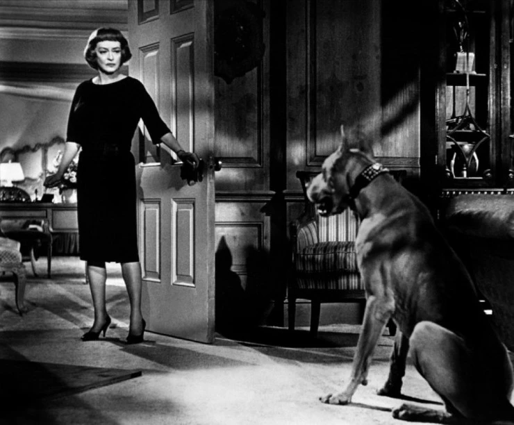 Двойник 1964 скачать торрентом Двойник 1964 скачать торрентом