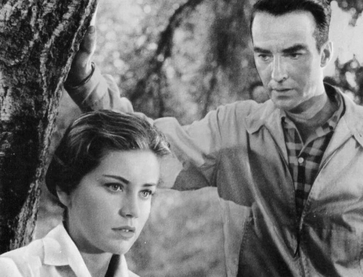 Одинокие сердца 1958 скачать торрентом Одинокие сердца 1958 скачать торрентом