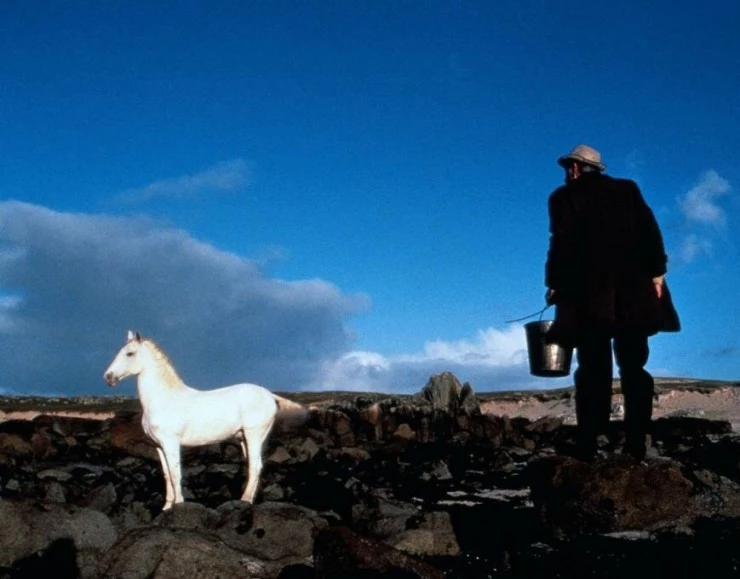 На запад 1992 скачать с торрента На запад 1992 скачать с торрента