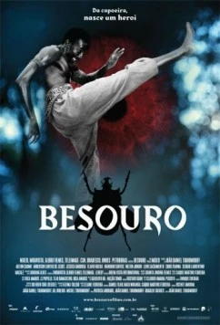 Жук / Besouro 2009 скачать через торрент в хорошем качестве