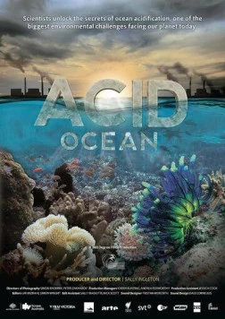 Кислотный океан / Acid Ocean 2014 скачать через торрент в хорошем качестве