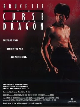 Проклятье дракона / The Curse of the Dragon 1993 скачать через торрент в хорошем качестве
